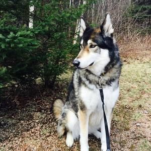 Meet your Posher, Wendy